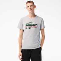 T-Shirt Lacoste Sport Algodon Ecologico Cinza